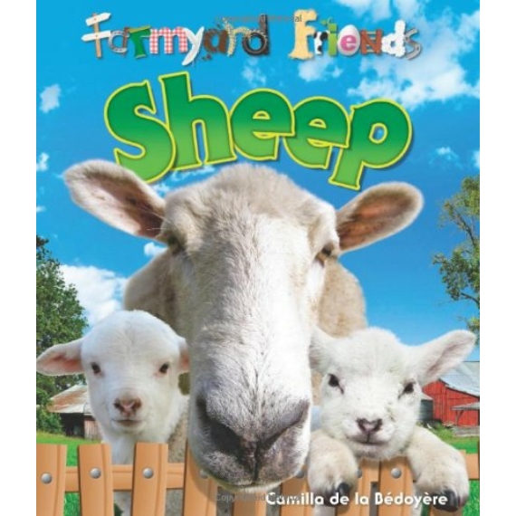 Sheep  (Farmyard Friends)