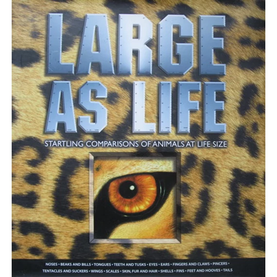 Large as Life