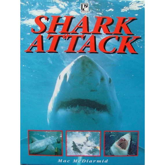 Shark Attack