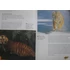 Tiger: Habitats, Life Cycles, Food Chains, Threats
